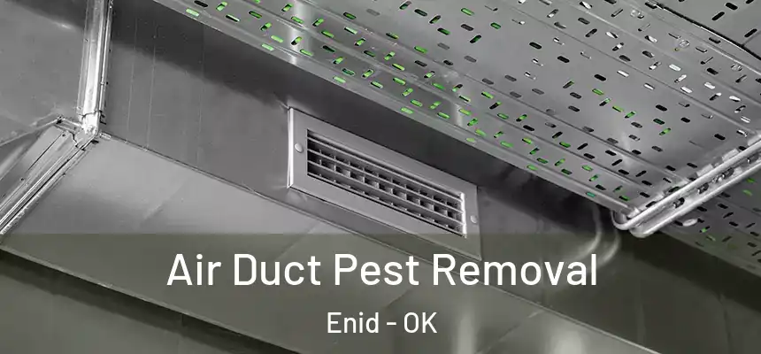 Air Duct Pest Removal Enid - OK