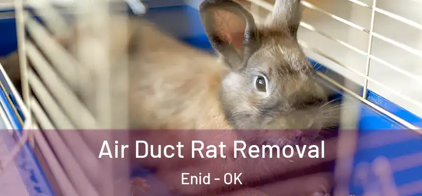  Air Duct Rat Removal Enid - OK