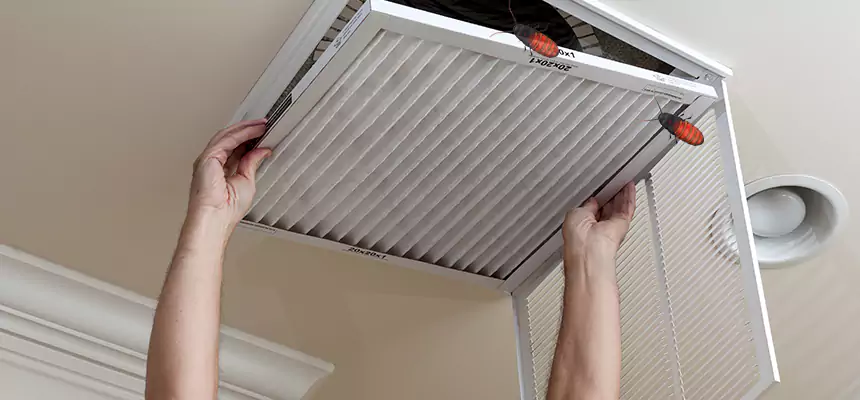 Our Insect Removal from Air Ducts Services in Enid, OK
