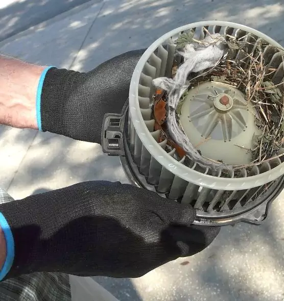 About Air Duct Rat Removal in Enid, OK