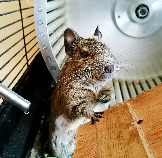 Why Homeowners & Businesses Trust Us Enid, OK